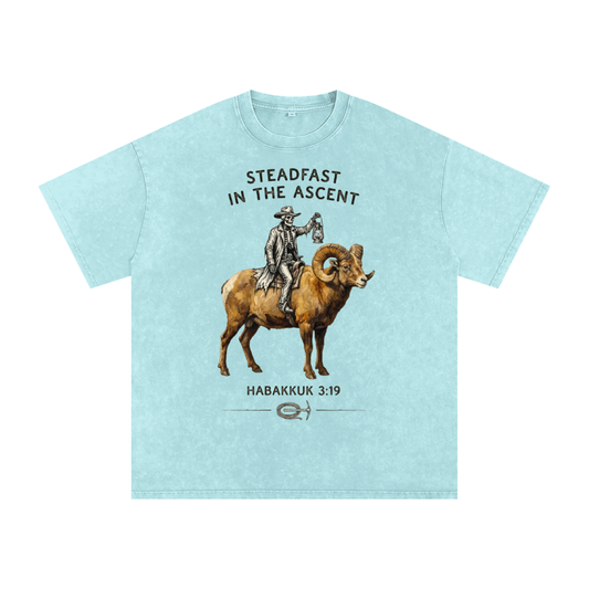 Steadfast in the Descent Snow Washed Oversized Cotton T-Shirt